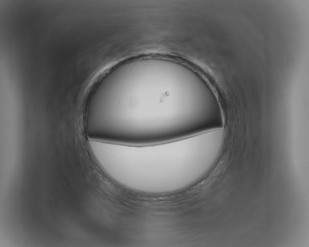 X0000112041359200908031034