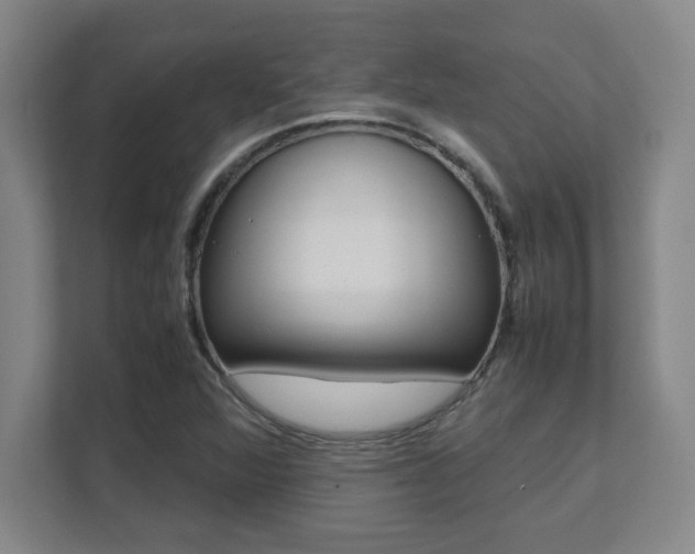 X0000112041360200908031034