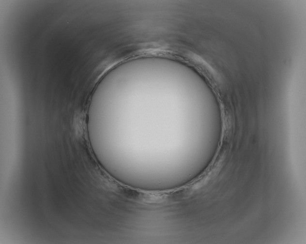 X0000112041361200908031034