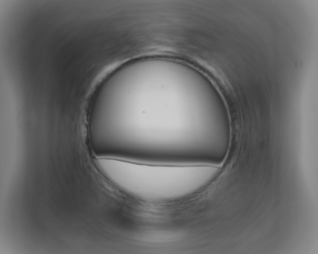 X0000112041363200908031034