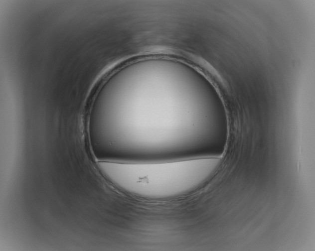 X0000112041364200908031034