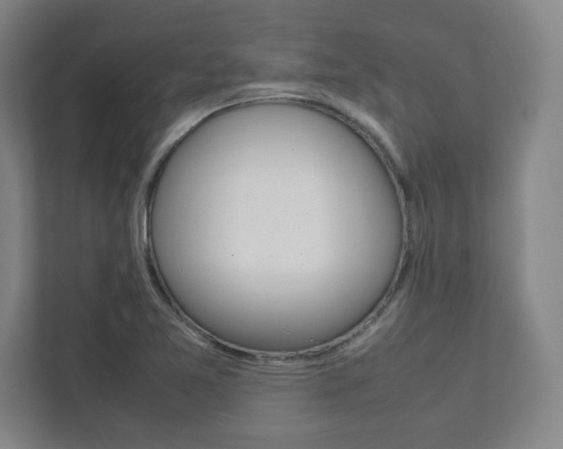 X0000112041365200908031034