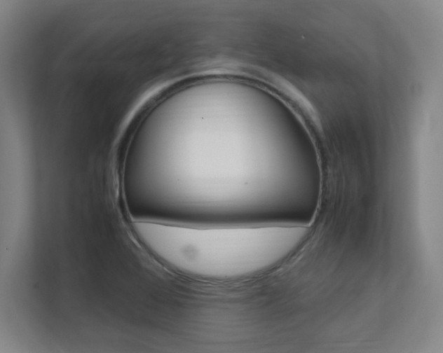 X0000112041368200908031034