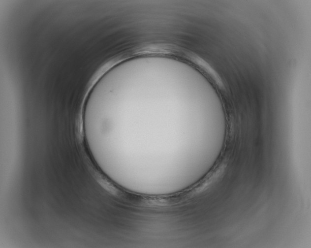 X0000112041370200908031034