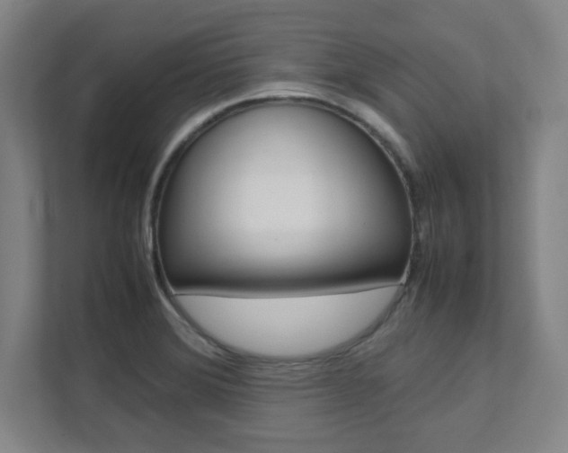 X0000112041372200908031034