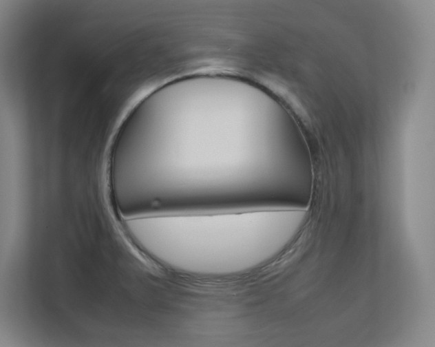 X0000112041375200908031033
