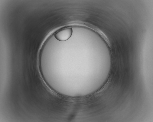 X0000112041376200908031033