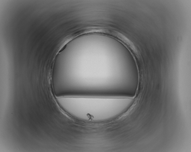 X0000112041377200908031033