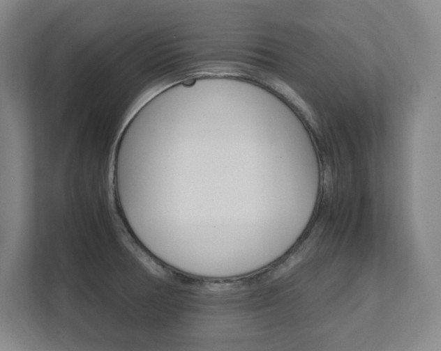 X0000112041378200908031033