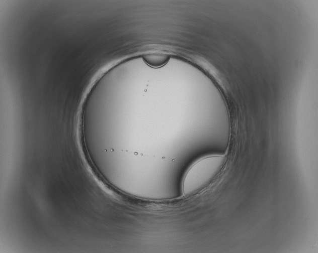 X0000112041379200908031033