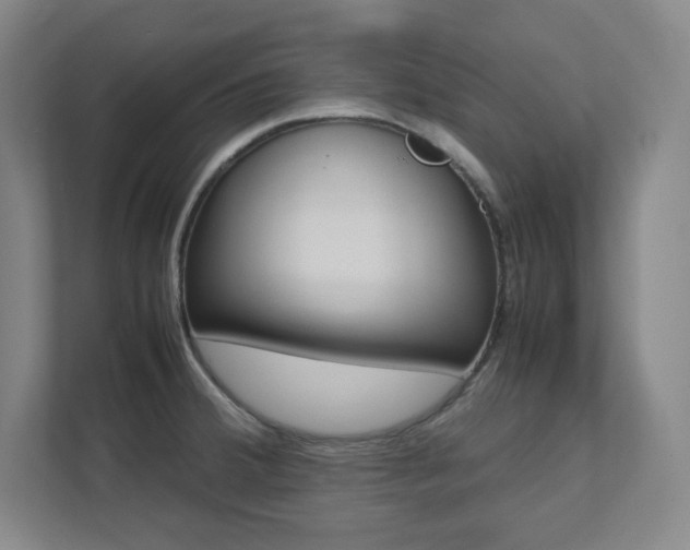 X0000112041380200908031033
