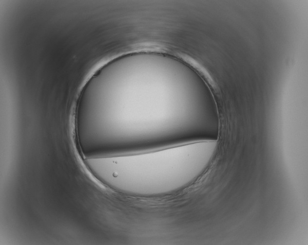 X0000112041383200908031033