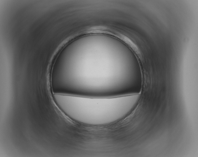 X0000112041384200908031033