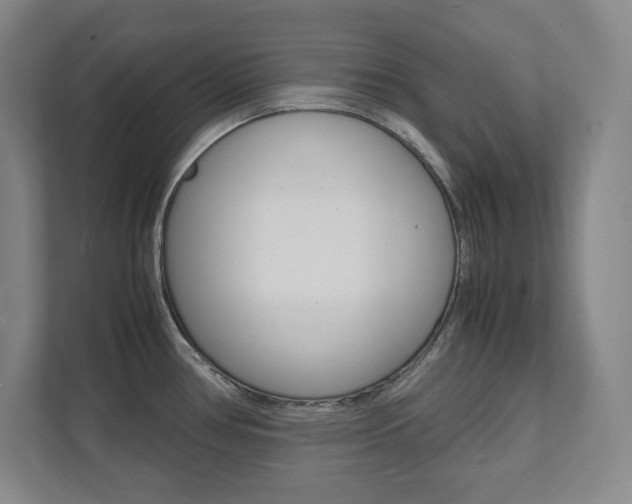 X0000112041386200908031033