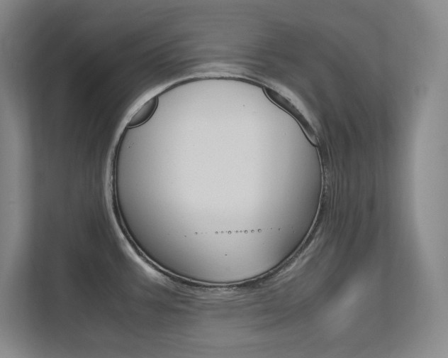 X0000112041387200908031033