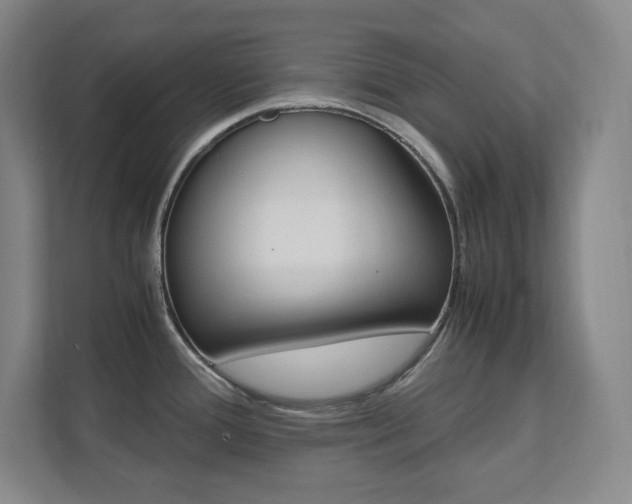 X0000112041388200908031033