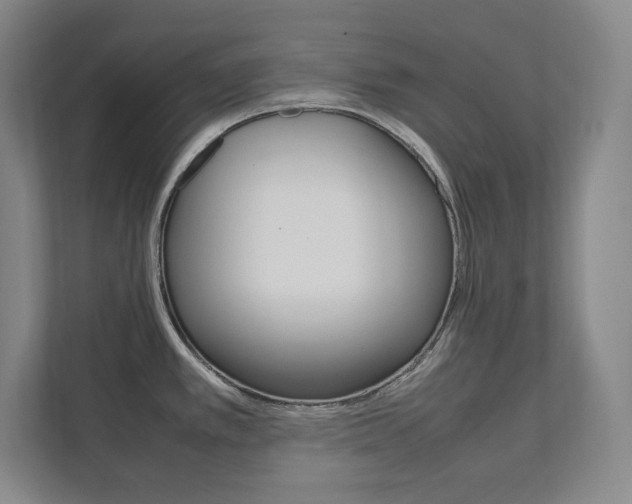 X0000112041389200908031033
