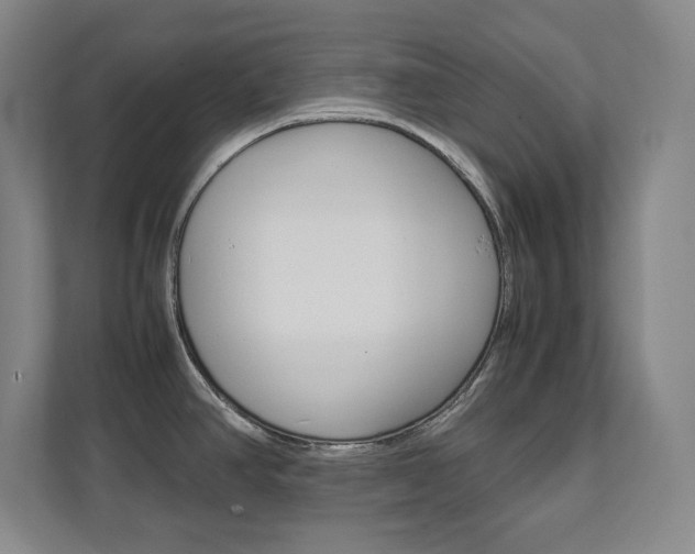 X0000112041390200908031033