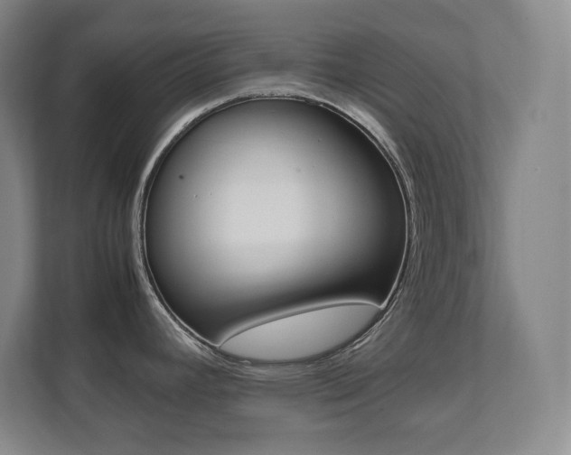 X0000112041392200908031033