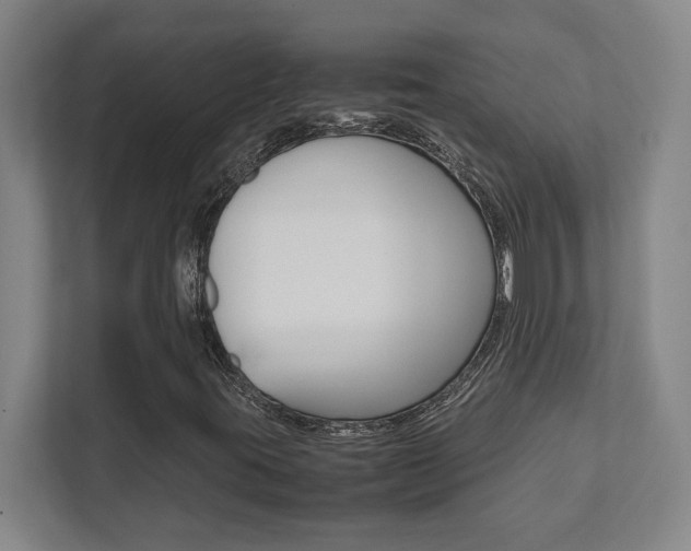 X0000112041395200908031033