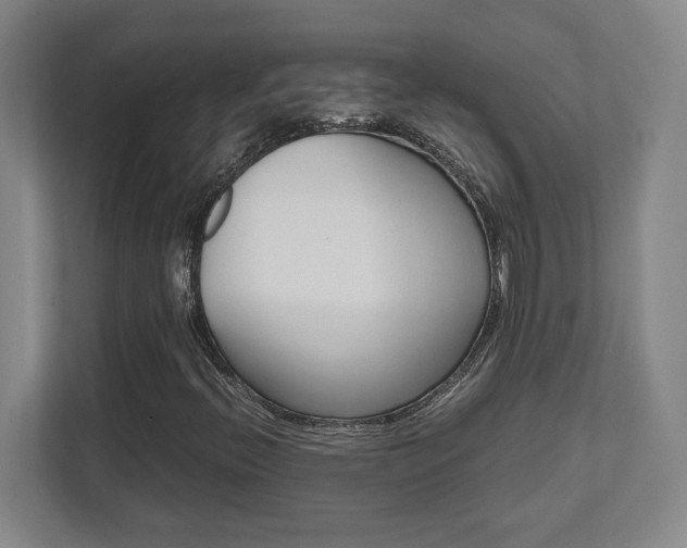 X0000112041396200908031033