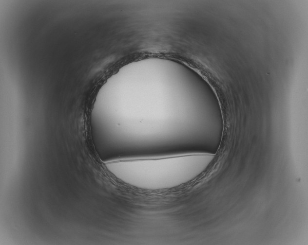X0000112041398200908031033