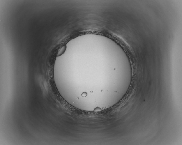 X0000112041399200908031033