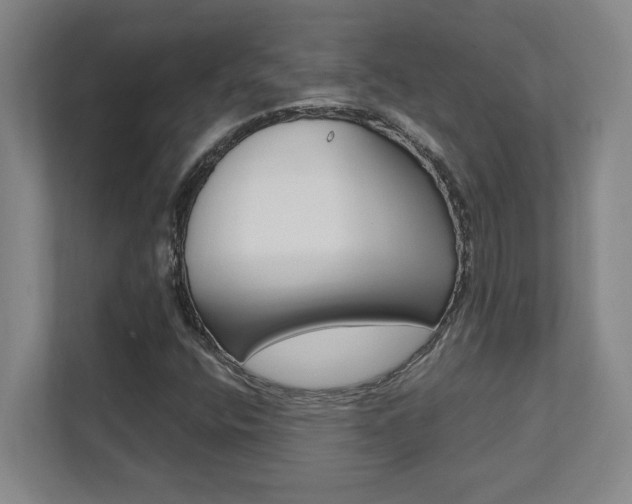 X0000112041400200908031033