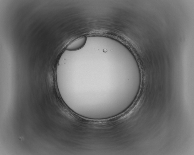 X0000112041401200908031033