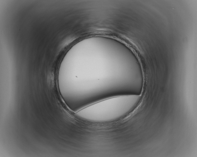X0000112041402200908031033
