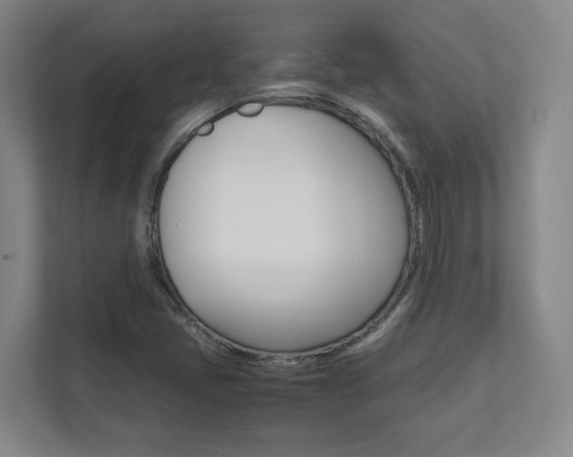 X0000112041405200908031033