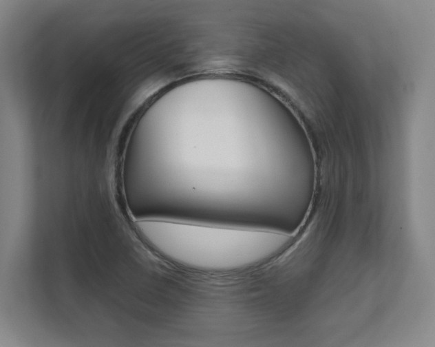 X0000112041410200908031033