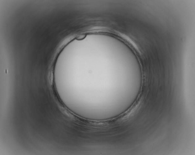 X0000112041413200908031033