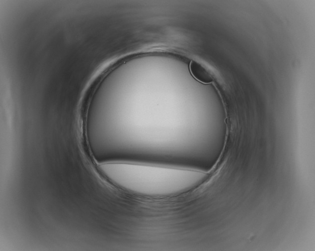 X0000112041414200908031033