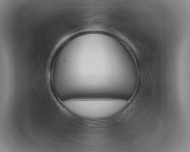 X0000112041416200908031033