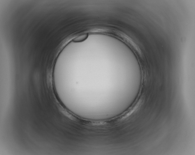 X0000112041417200908031033