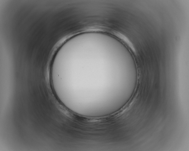 X0000112041419200908031033