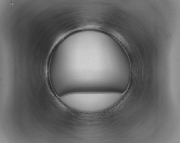 X0000112041420200908031033