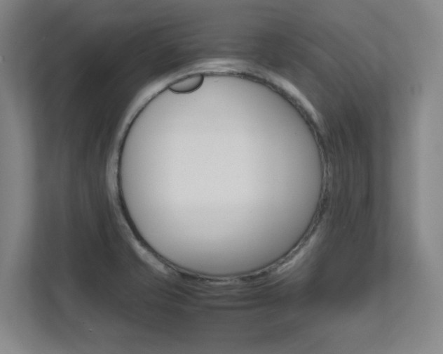 X0000112041421200908031033