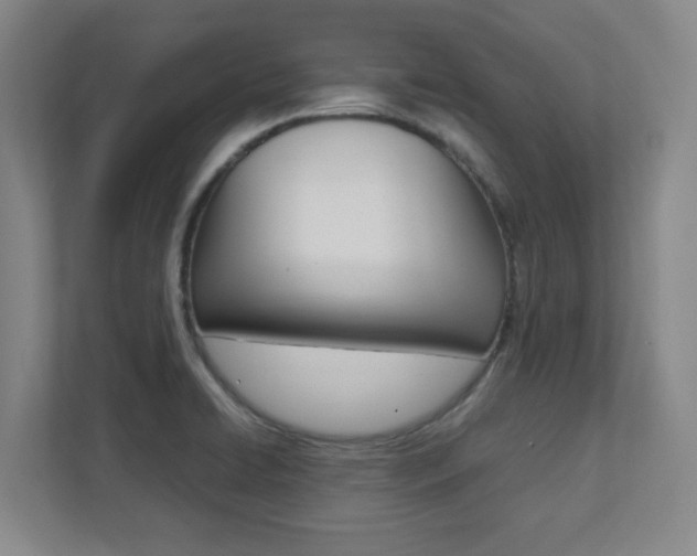 X0000112041422200908031033