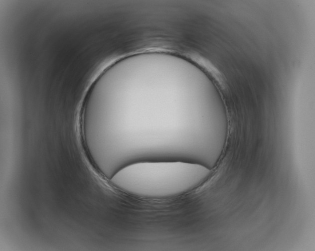 X0000112041423200908031033