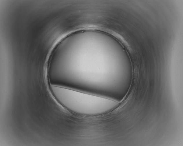 X0000112041424200908031033
