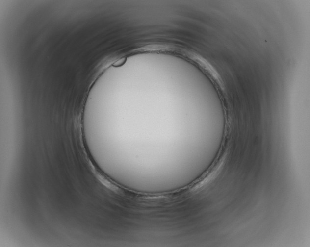 X0000112041425200908031033