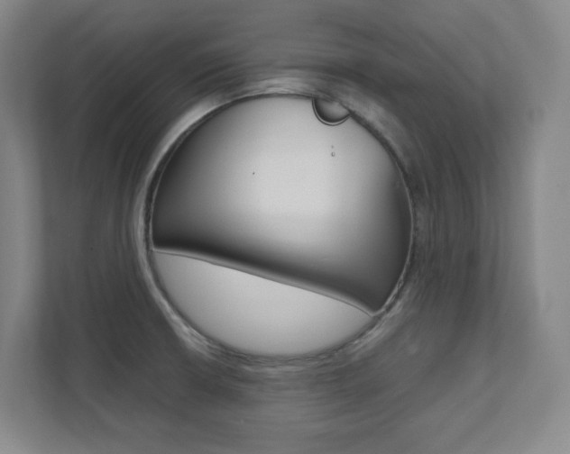 X0000112041426200908031033