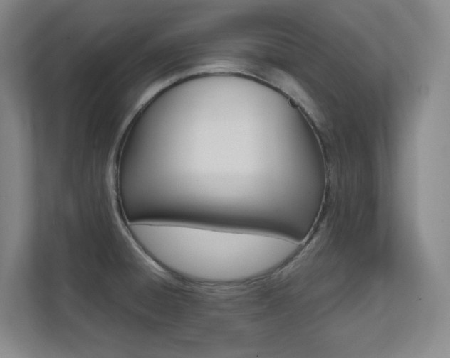 X0000112041428200908031033