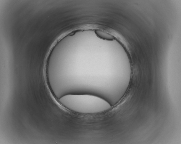 X0000112041429200908031033