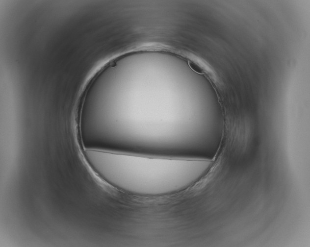 X0000112041430200908031033