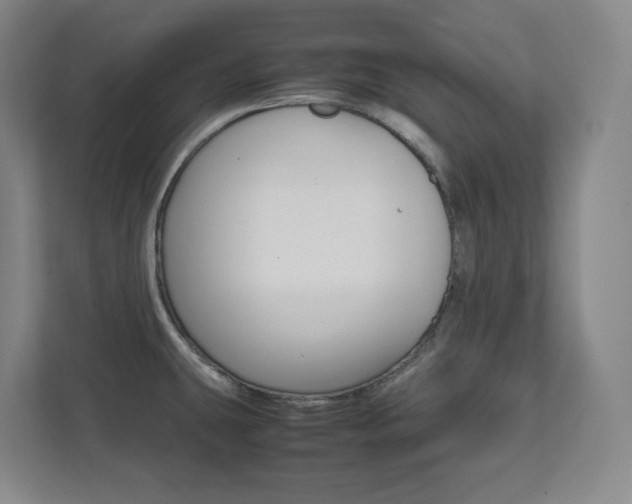 X0000112041431200908031033