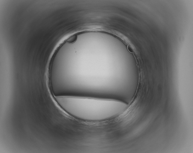 X0000112041432200908031033