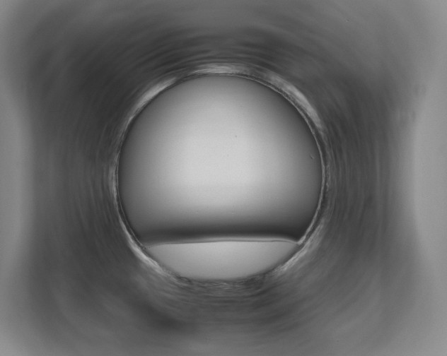 X0000112041433200908031033